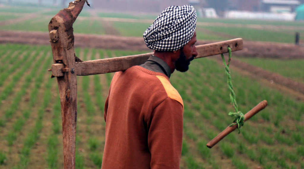 PM Kisan Registration: छोटे किसानों के बड़े सपने होंगे पूरे, बिना झंझट हर योग्य किसान को सालाना ₹6000 की मदद!