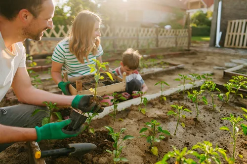 Homeowners Beware: Garden Rules That Could Cost You a £20,000 Fine