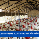 Poultry Farm Loan Scheme 2025: पात्रता, लाभ और आवेदन प्रक्रिया जानें!