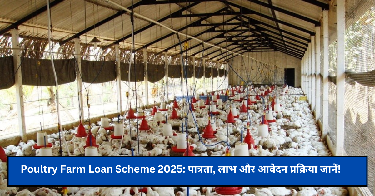 Poultry Farm Loan Scheme 2025: पात्रता, लाभ और आवेदन प्रक्रिया जानें!