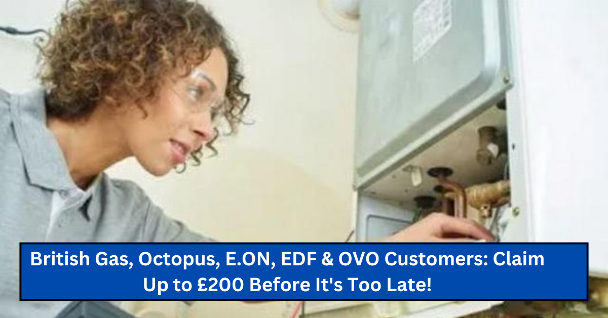 British Gas, Octopus, E.ON, EDF & OVO Customers: Claim Up to £200 Before It’s Too Late!